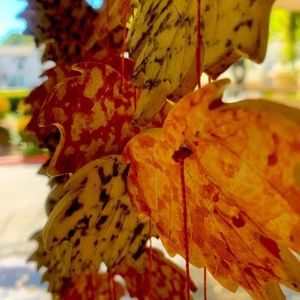 Fall leaf wind chime